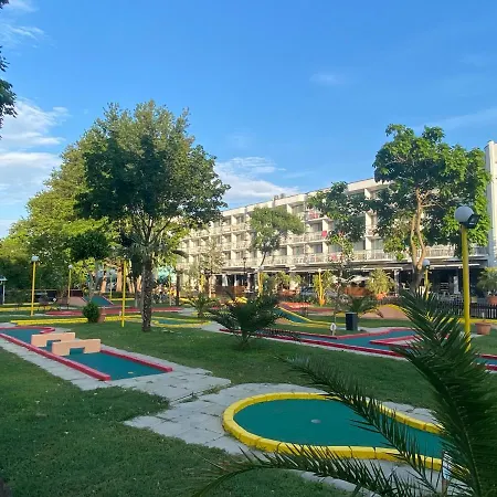 Esperanto 403 Large Sunny *