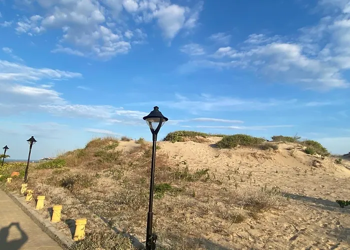 Esperanto 403 Large Sunny * Солнечный берег