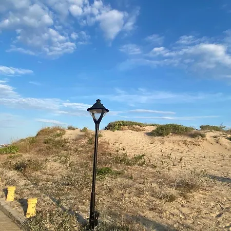 Esperanto 403 Large Sunny * サニービーチ